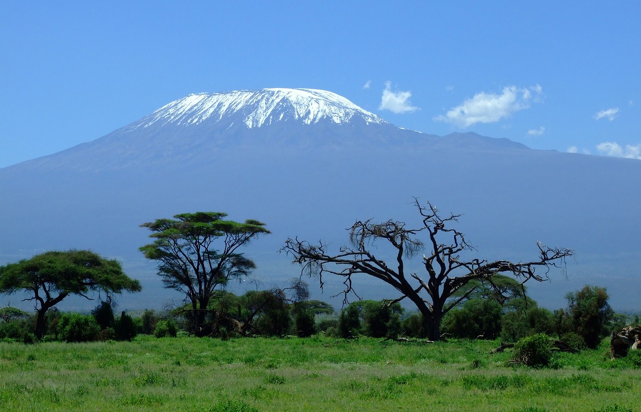 Solo Tanzania