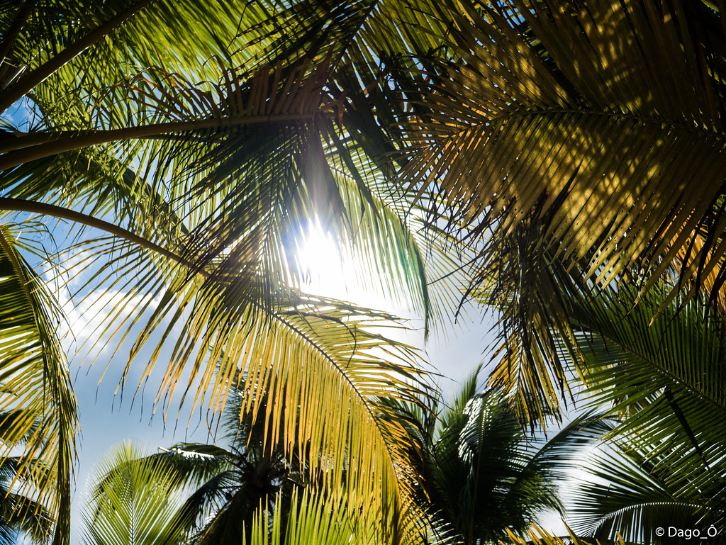 Santo Domingo y Punta Cana